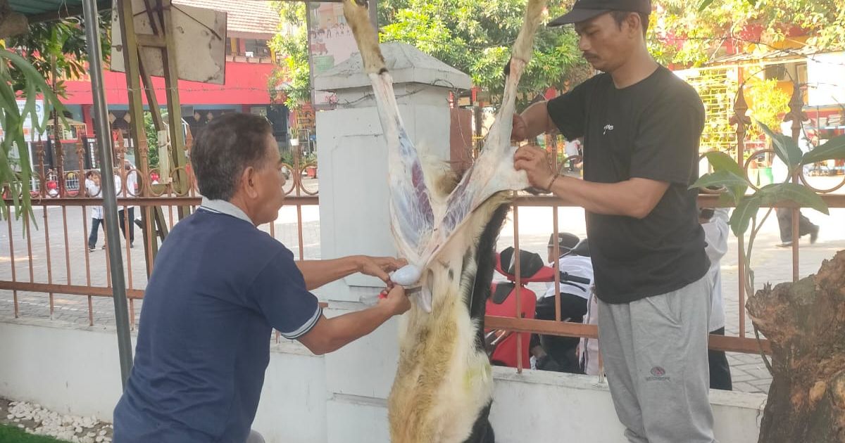 Kelurahan Gondrong Tunaikan Qurban 1 Ekor Kambing di Idul Adha 1447 H